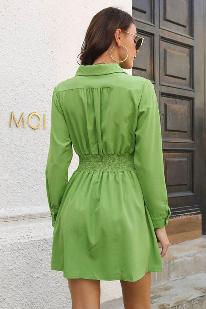 Johnny Collar Smocked Waist Long Sleeve Mini Dress Trendsi 465e76eab98a4f6982be6c7867aeea3a-Max