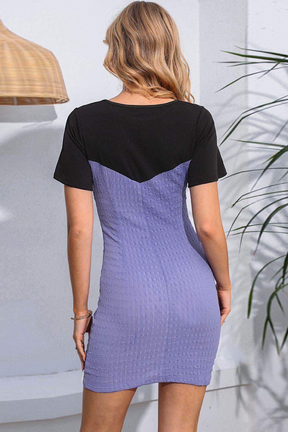 Round Neck Two-Tone Mini Dress Trendsi 876c8a9a898f4efdad07a43dea20e6fd-Max