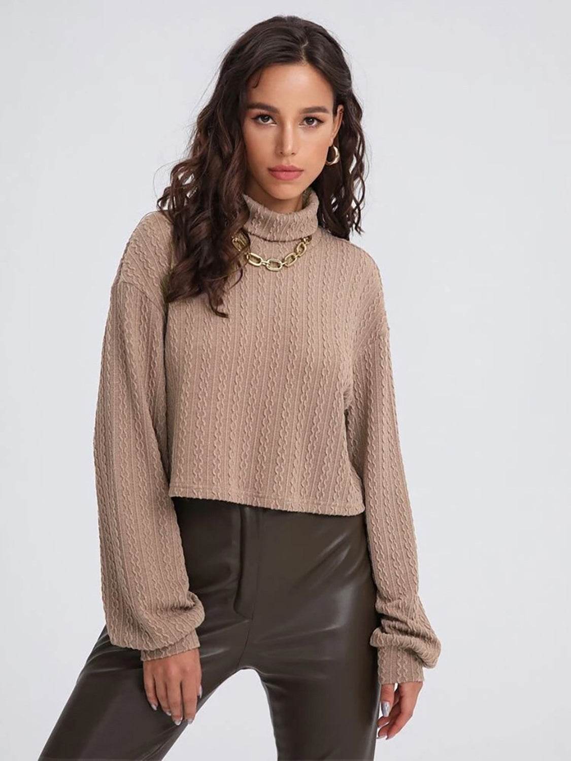 Turtleneck Long Sleeve Top Trendsi cde0d7108cdb4e6f81e0b2bc12e495ec-Max